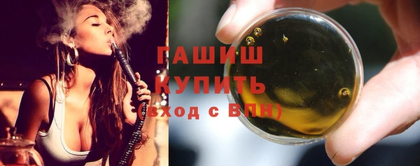 индика Заводоуковск