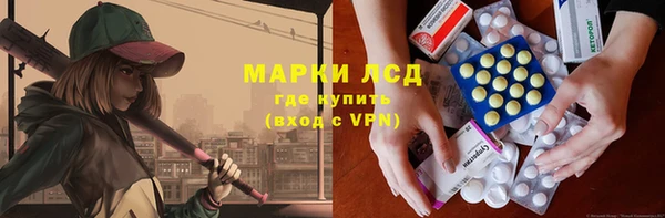 индика Заводоуковск