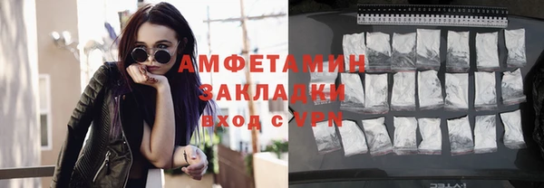 индика Заводоуковск