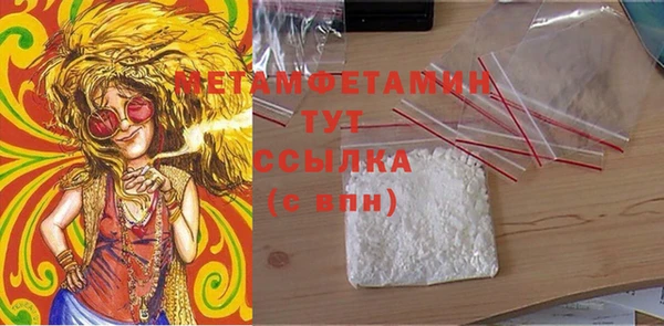 индика Заводоуковск