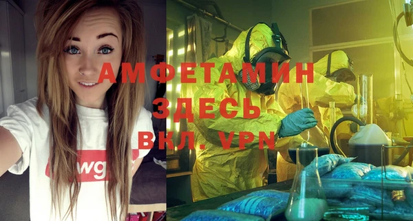 индика Заводоуковск