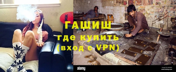 индика Заводоуковск
