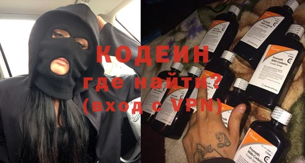 индика Заводоуковск
