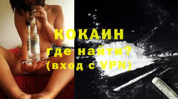 индика Заводоуковск