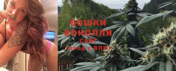 индика Заводоуковск