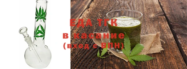 индика Заводоуковск
