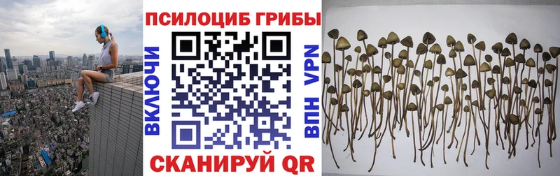 OMG как войти  Петухово  Галлюциногенные грибы Cubensis 